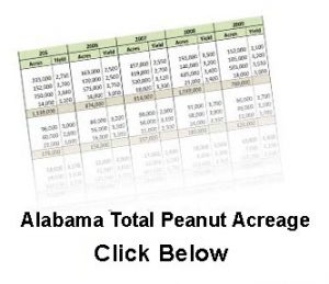 stats 2 stat peanut acreag artwork