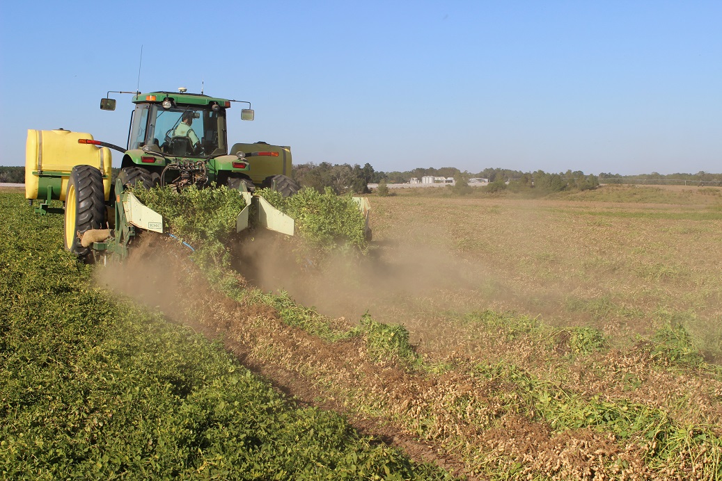 Help Wanted for the  2019 Peanut Harvest Season