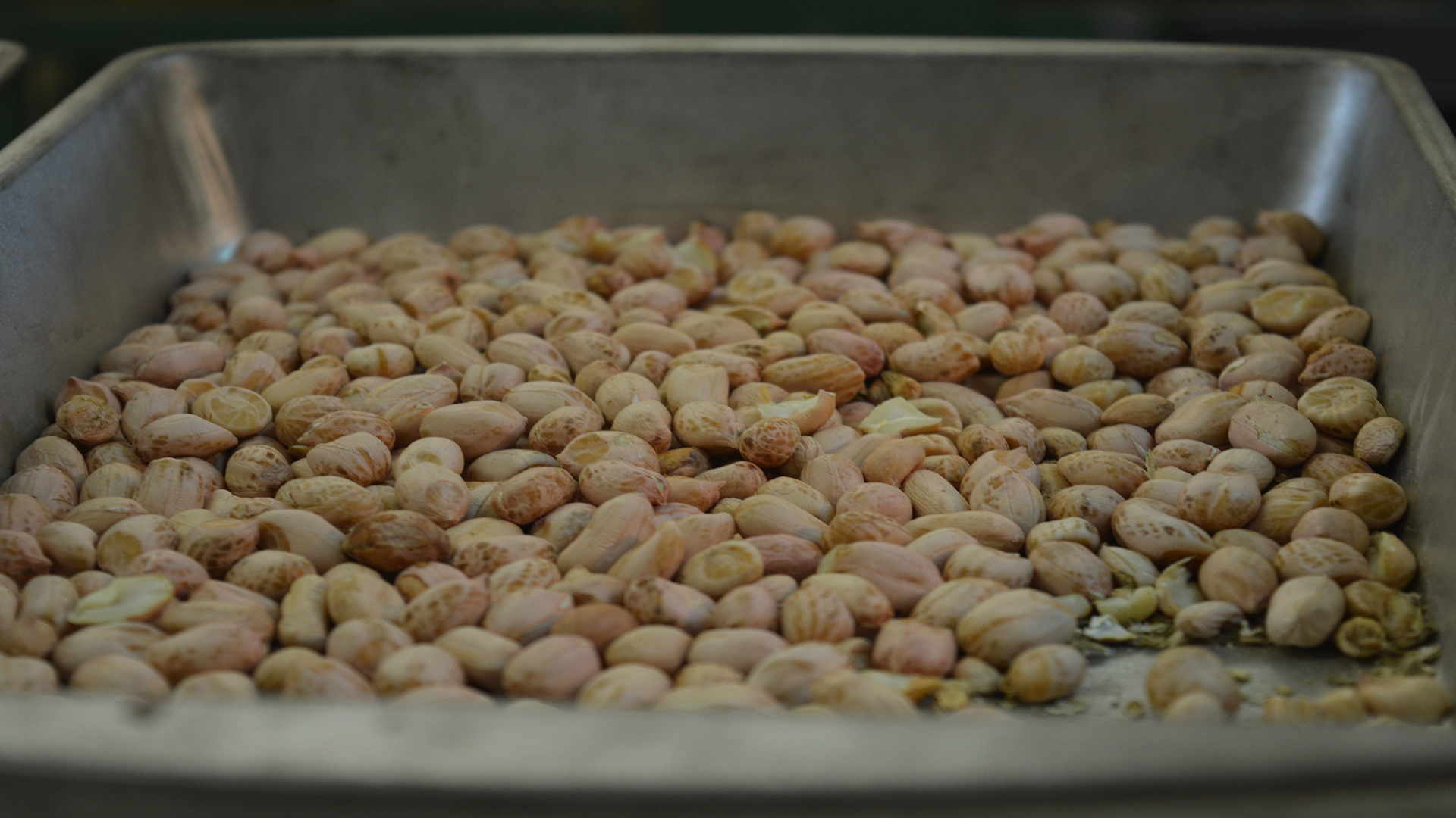 Alabama Peanut Check-off Wins 95% Approval in Referendum
