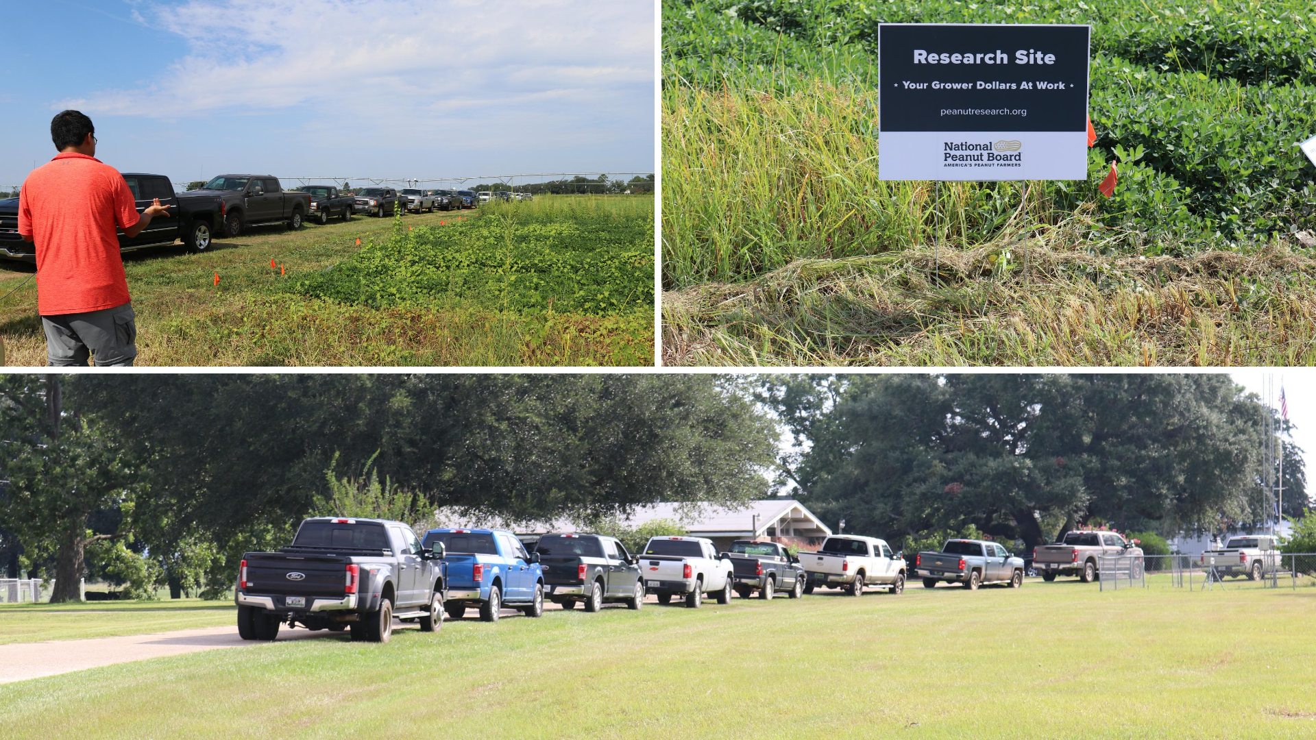 Social Distancing Wiregrass Weed Tour Showcases Continuing Research