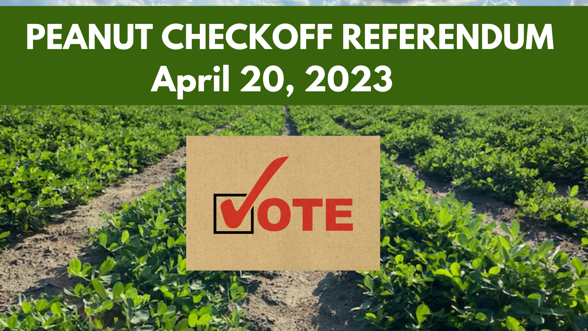 Peanut Referendum Vote set for April 20